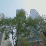 SailGP China Launch video (ENG)